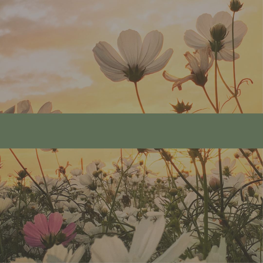 Floral scene with a green banner in the middle