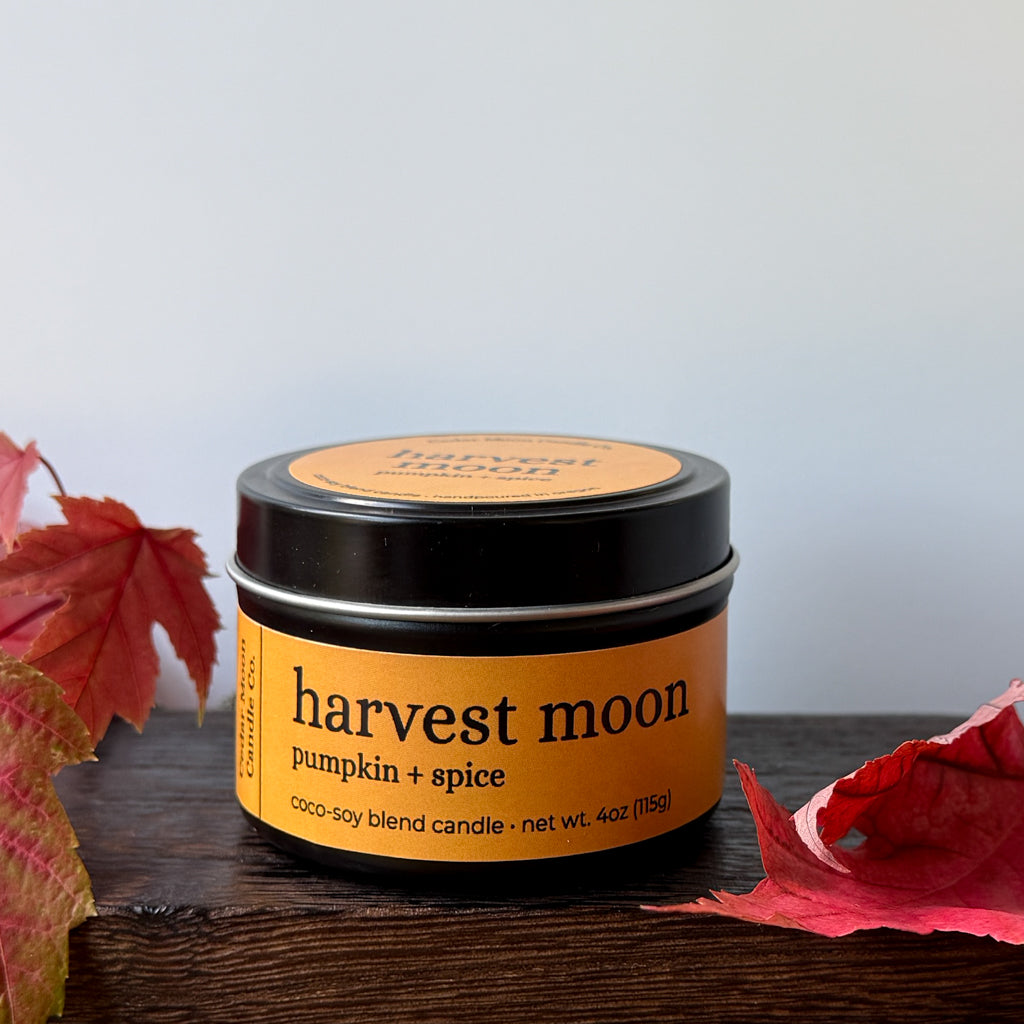 A tin candle labeled 'harvest moon pumpkin + spice' sits on a dark wooden surface with red autumn leaves around it against a light gray background.